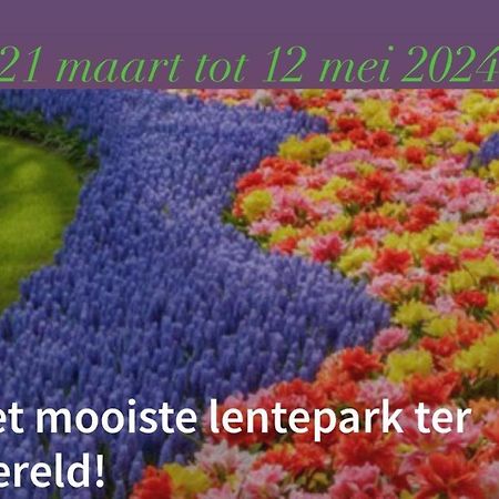Lodge Noordwijk Eksteriør billede