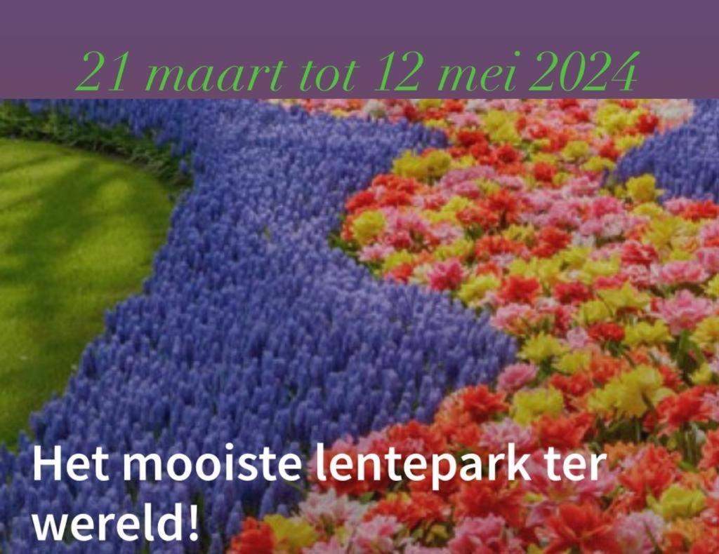Lodge Noordwijk Eksteriør billede