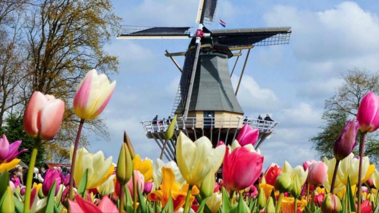 Lodge Noordwijk Eksteriør billede